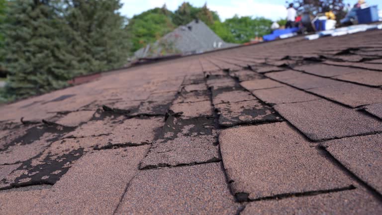 Best Emergency Roof Repair  in Tuckahoe, VA